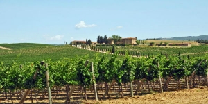 Valpolicella &amp; Amarone Wine Tour - private tour