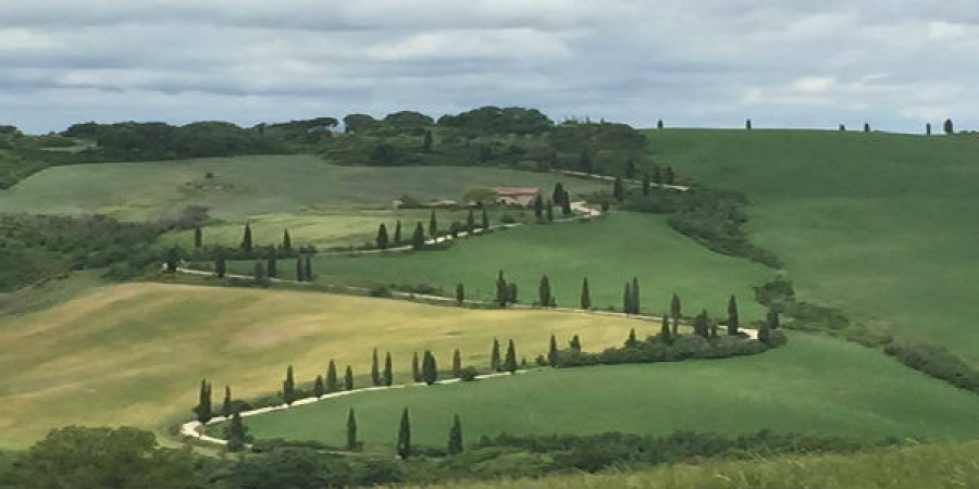 Highlights of the Chianti Region Tour - small group tour