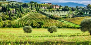 VIP Brunello Wine Tour - semi-private tour